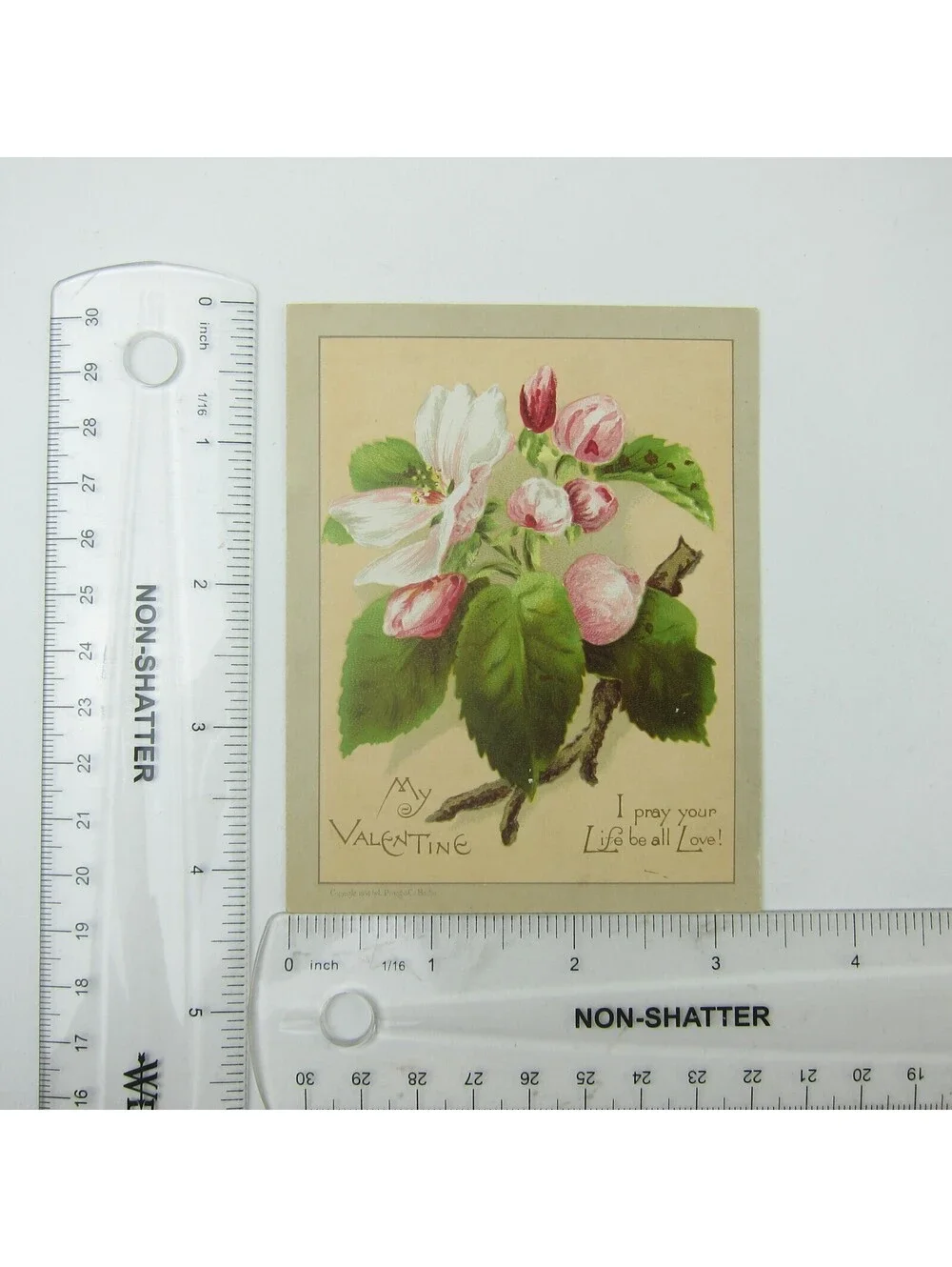 Victorian Greeting Card Valentine Pink White Apple Blossom Flowers Antique 1884